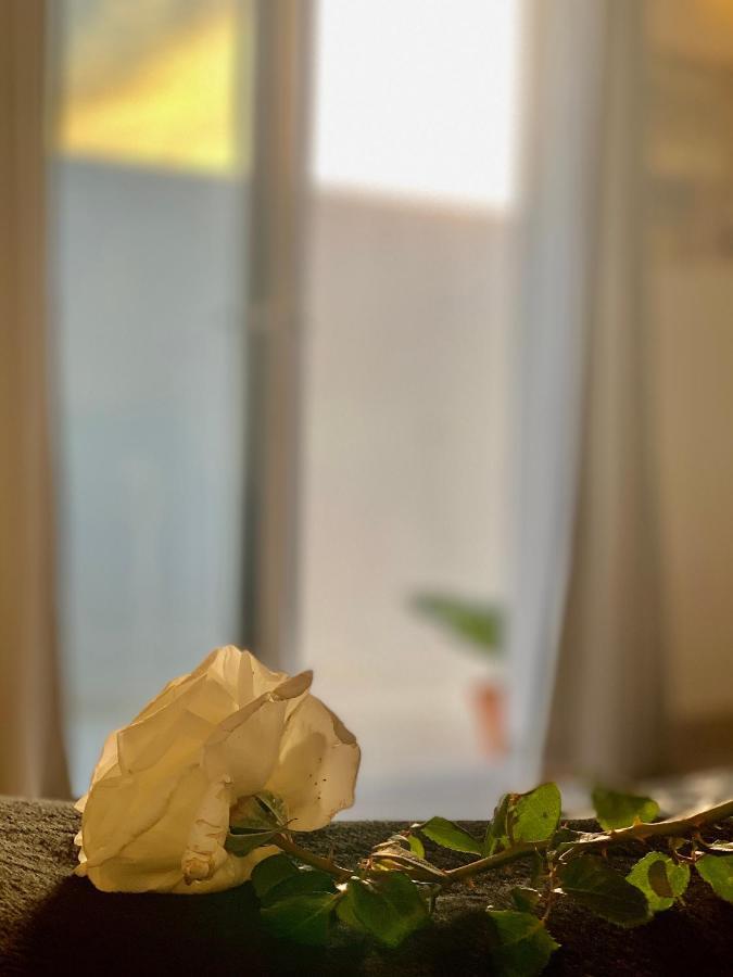 Loft La Isla Apartment ปลายาบลังกา ภายนอก รูปภาพ